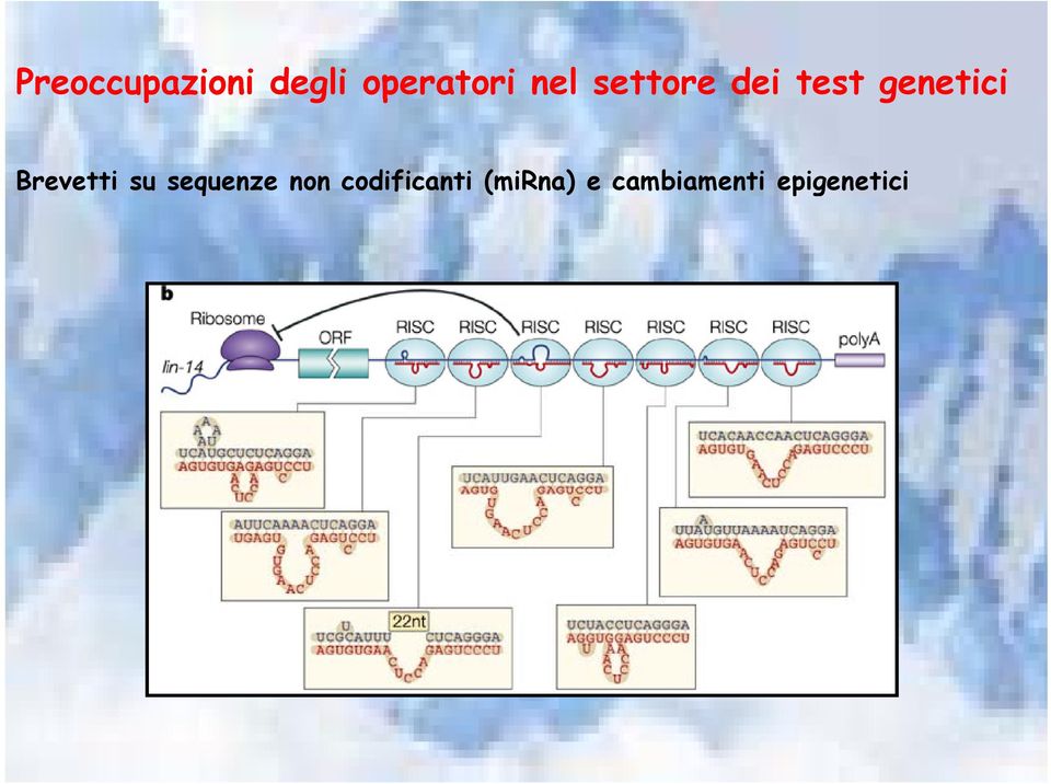 Brevetti su sequenze non