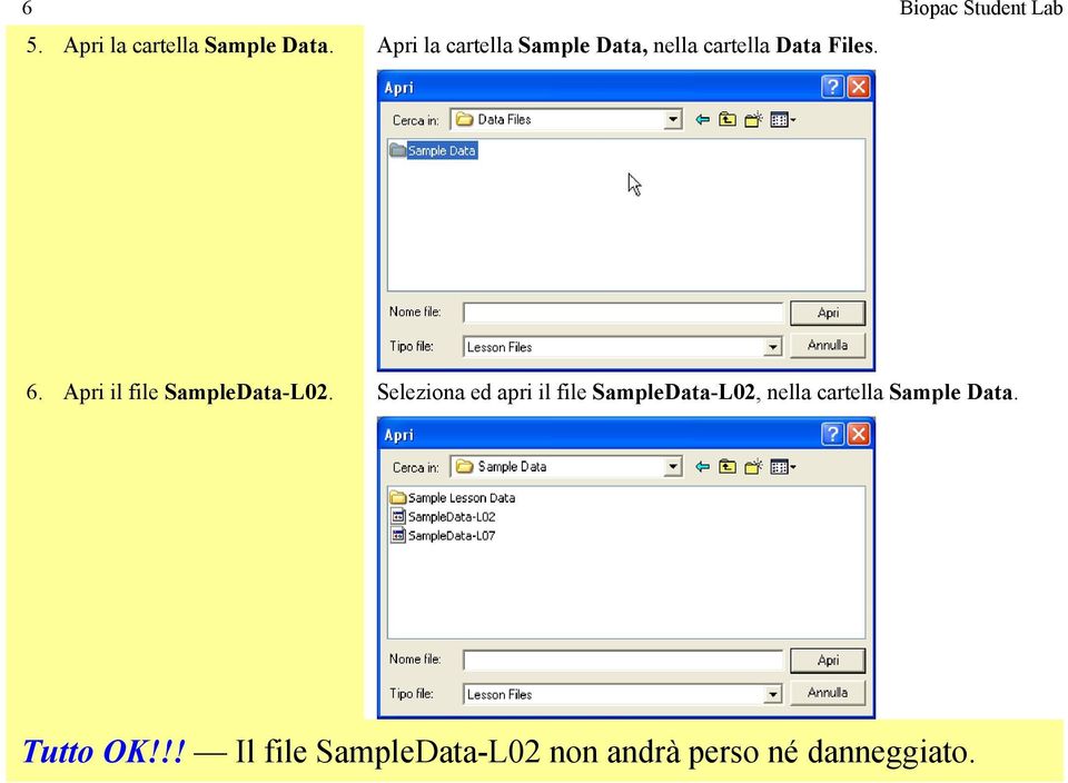 Apri il file SampleData-L02.