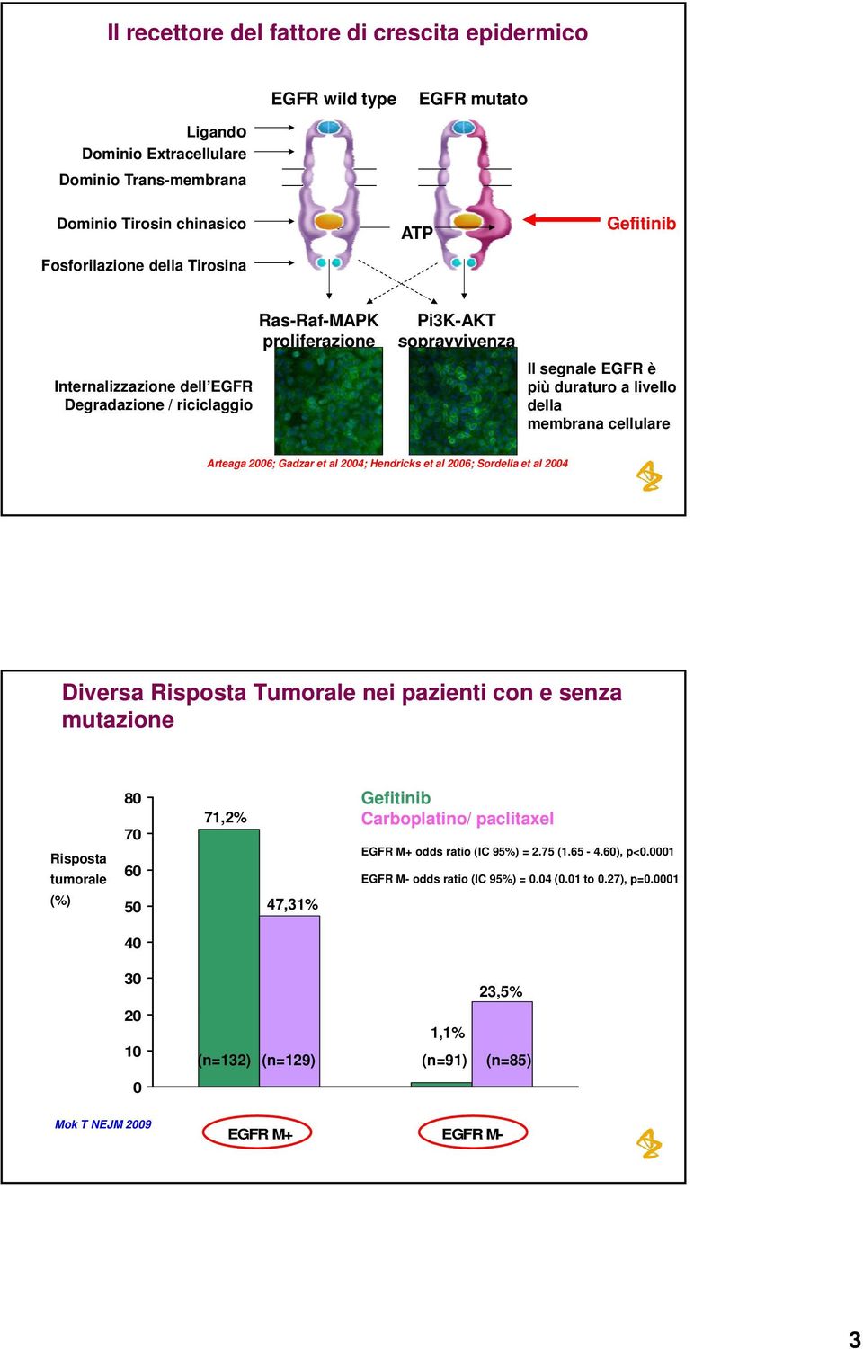 26; Gadzar et al 24; Hendricks et al 26; Sordella et al 24 Diversa Risposta Tumorale nei pazienti con e senza mutazione 8 Gefitinib 71,2% Carboplatino/ paclitaxel 7 EGFR M+ odds ratio (IC