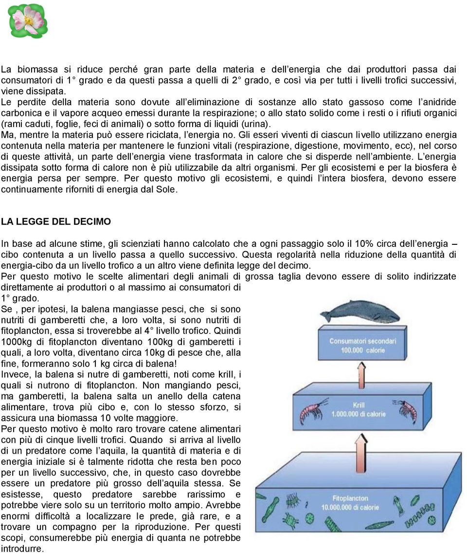 Le perdite della materia sono dovute all eliminazione di sostanze allo stato gassoso come l anidride carbonica e il vapore acqueo emessi durante la respirazione; o allo stato solido come i resti o i