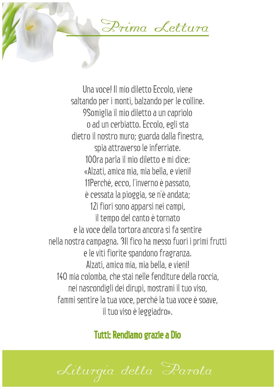 11Perché, ecco, l'inverno è passato, è cessata la pioggia, se n'è andata; 12i fiori sono apparsi nei campi, il tempo del canto è tornato e la voce della tortora ancora si fa sentire nella nostra