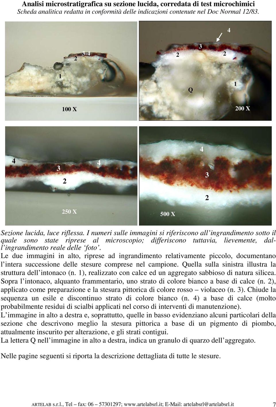 I numeri sulle immagini si riferiscono all ingrandimento sotto il quale sono state riprese al microscopio; differiscono tuttavia, lievemente, dall ingrandimento reale delle foto.