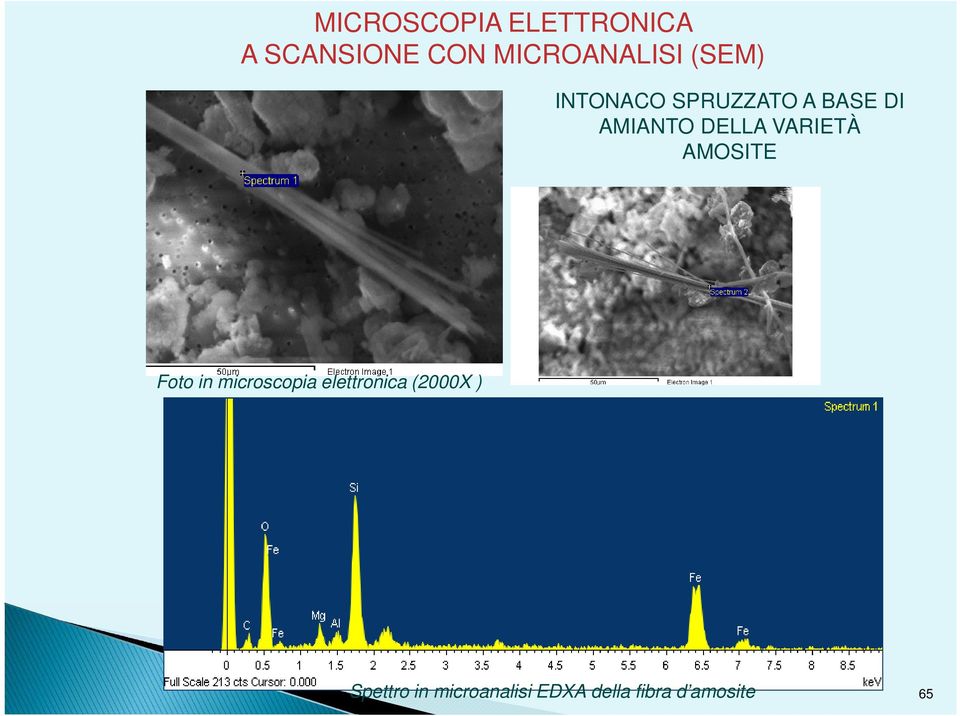 VARIETÀ AMOSITE Foto in microscopia elettronica