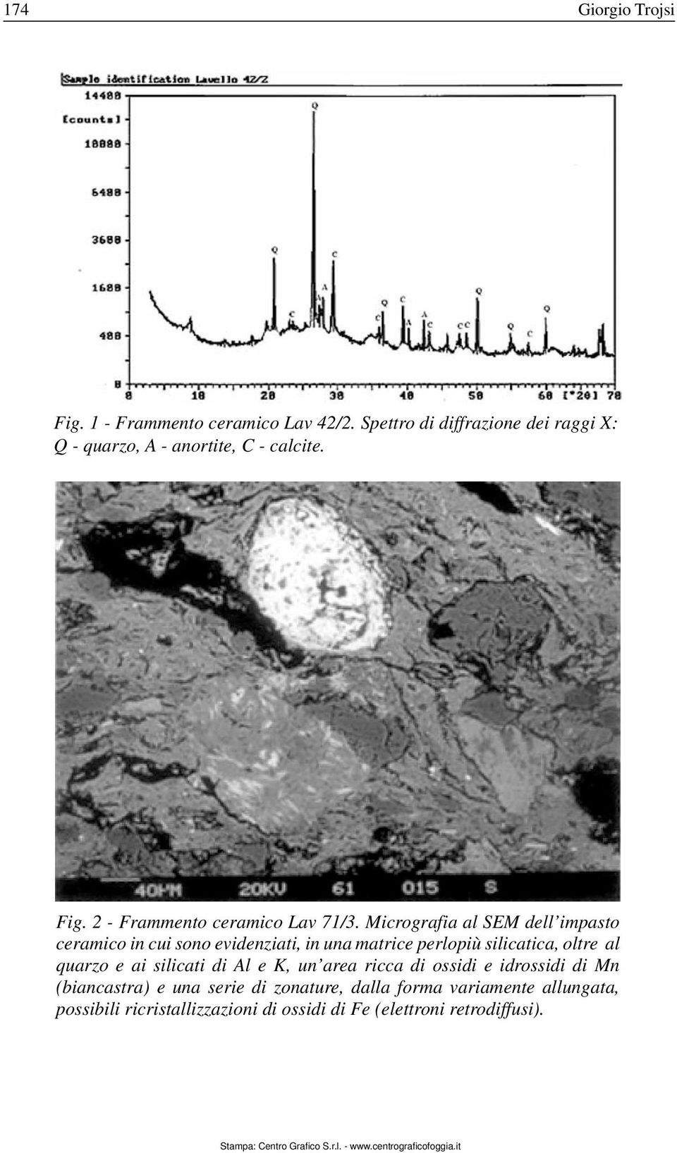 Micrografia al SEM dell impasto ceramico in cui sono evidenziati, in una matrice perlopiù silicatica, oltre al quarzo e ai