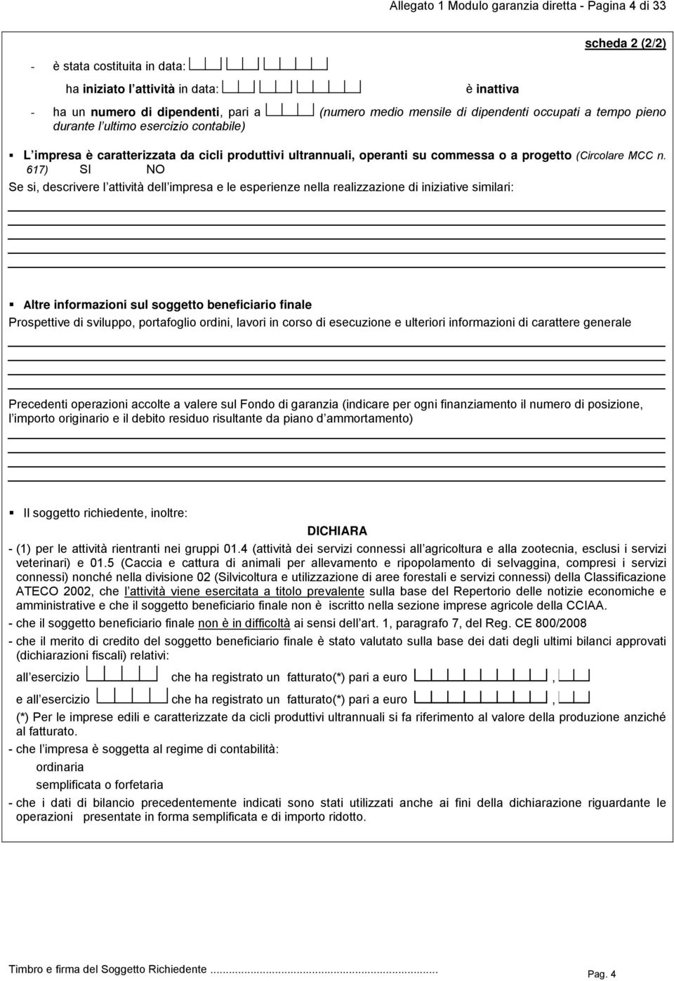 617) SI NO Se si, descrivere l attività dell impresa e le esperienze nella realizzazione di iniziative similari: _ Altre informazioni sul soggetto beneficiario finale Prospettive di sviluppo,