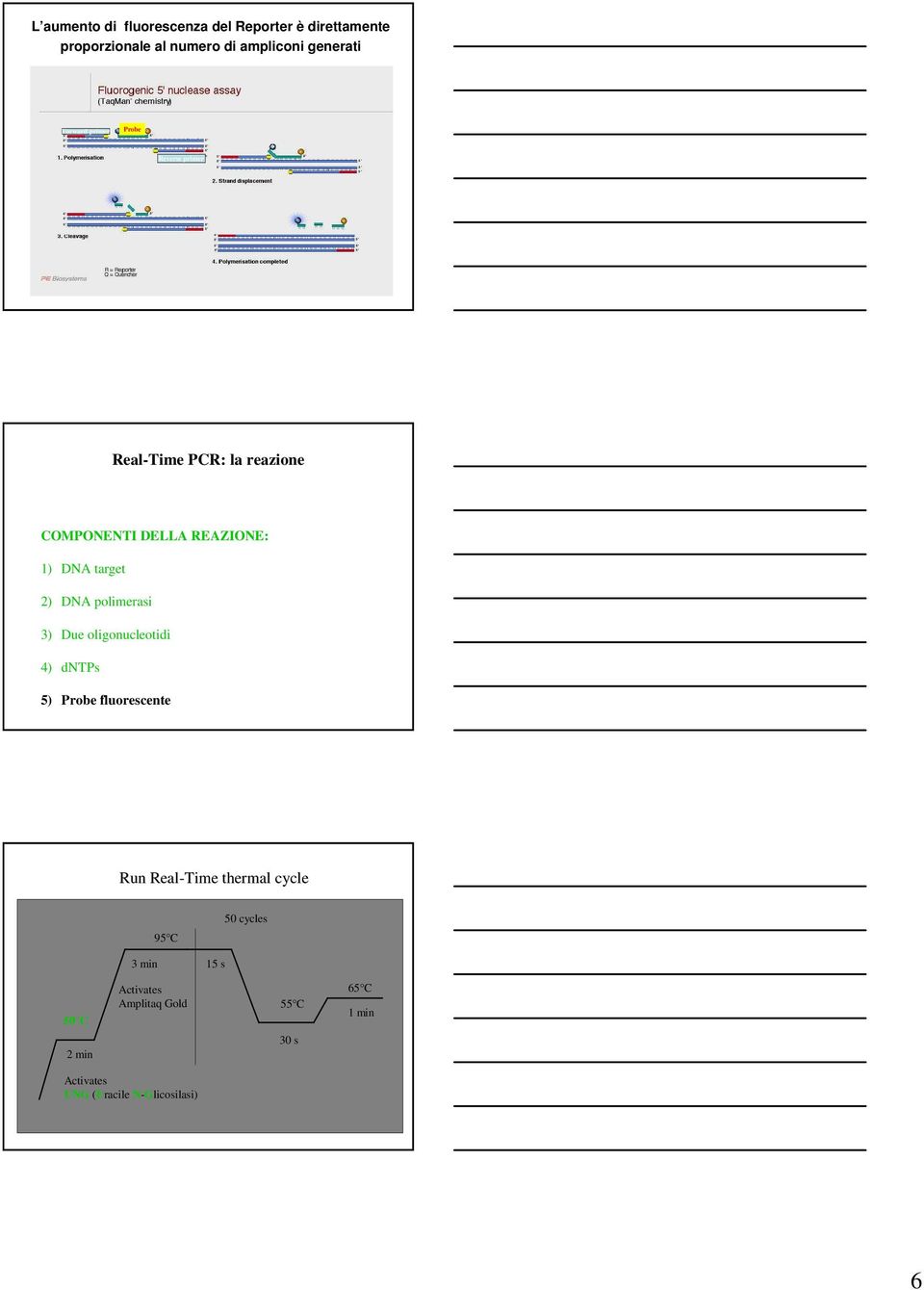 DNA polimerasi 3) Due oligonucleotidi 4) dntps 5) Probe fluorescente un eal-time thermal cycle 3 min 95