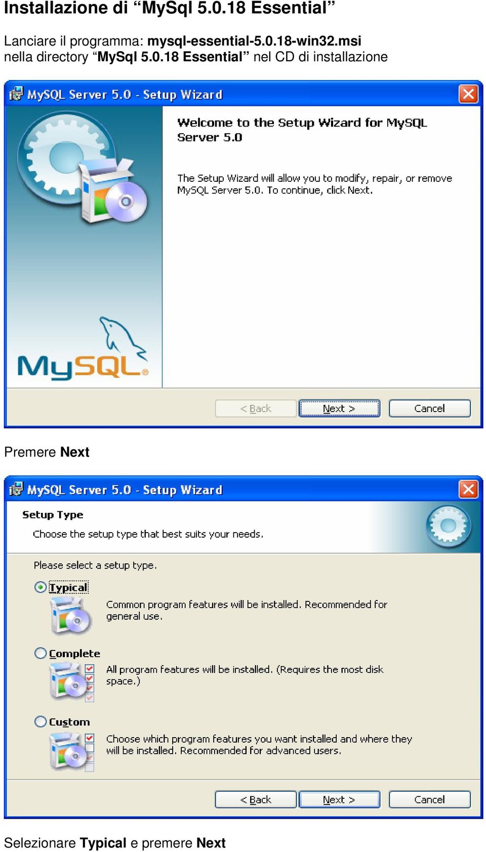 mysql-essential-5.0.18-win32.