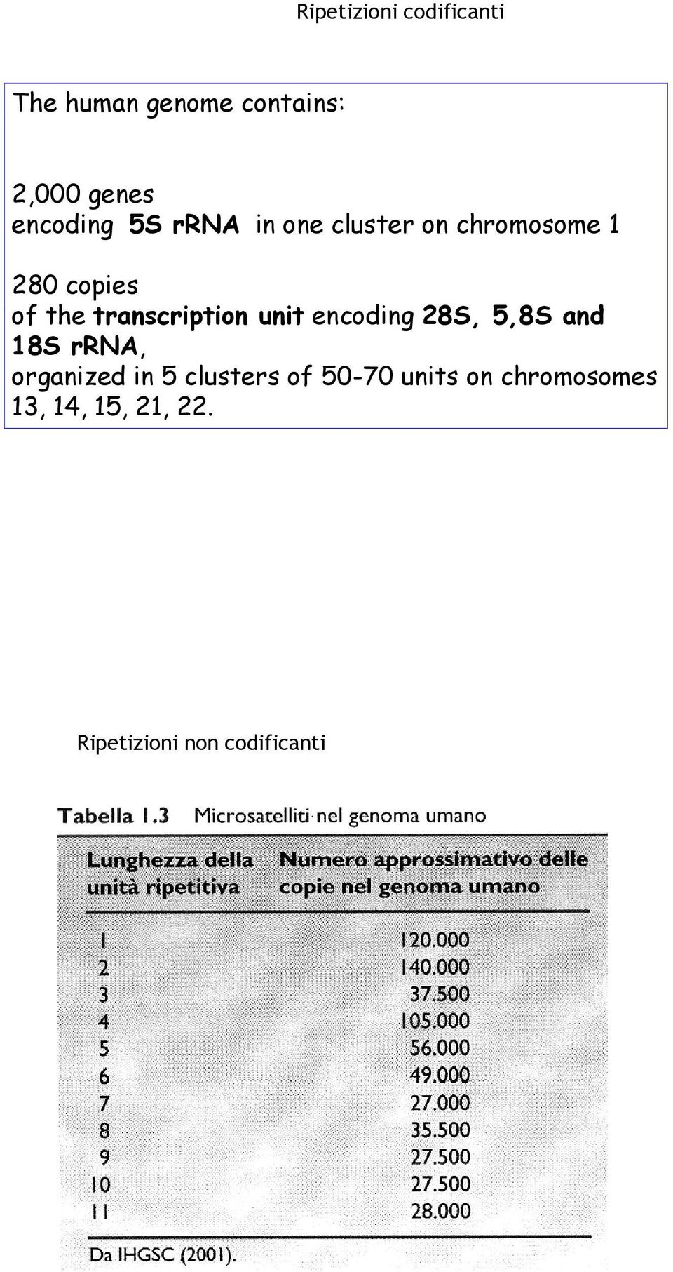 ti unit encoding 28S, 5,8S and 18S rrna, organized in 5 clusters of