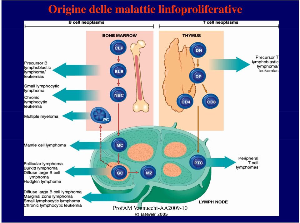 malattie