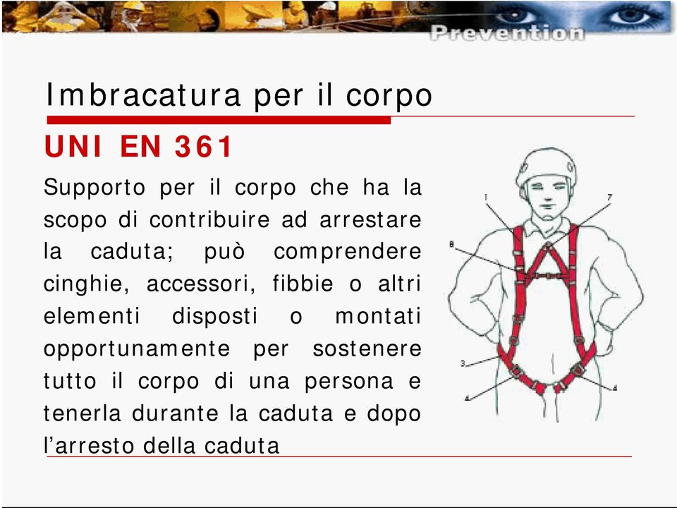 fibbie o altri elementi disposti o montati opportunamente per sostenere