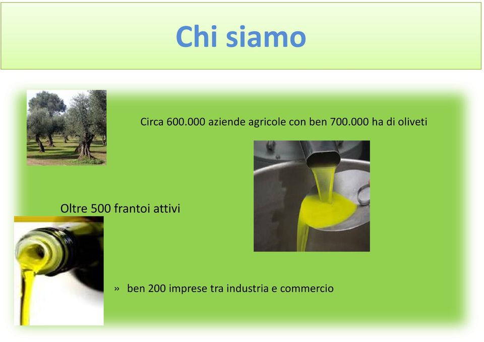 000 ha di oliveti Oltre 500