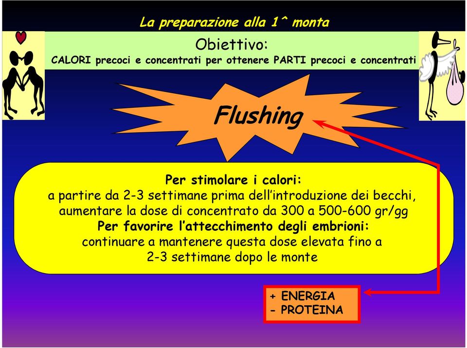 becchi, aumentare la dose di concentrato da 300 a 500-600 gr/gg Per favorire l attecchimento degli