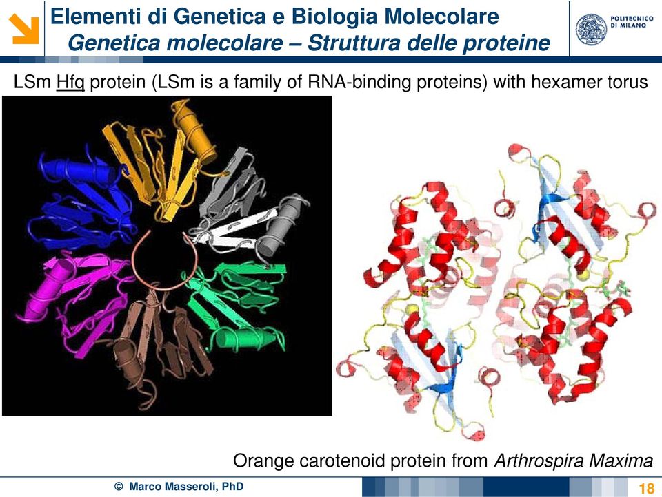 of RNA-binding proteins) with hexamer torus