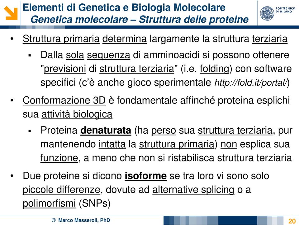 it/portal/) Conformazione 3D è fondamentale affinché proteina esplichi sua attività biologica Proteina denaturata (ha perso sua struttura terziaria, pur mantenendo intatta