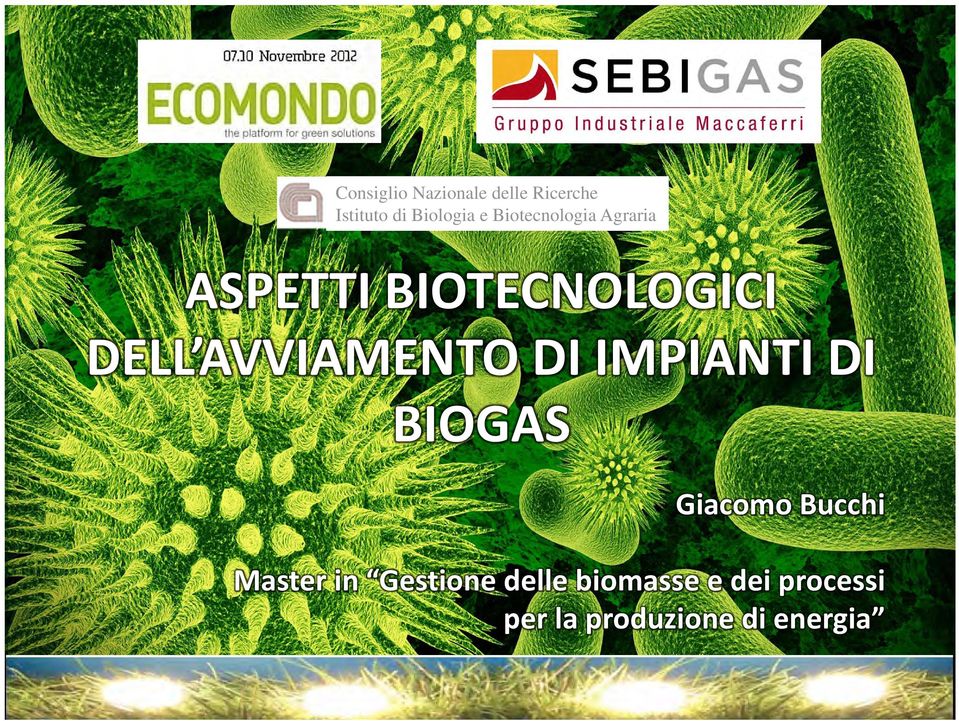 AVVIAMENTO DI IMPIANTI DI BIOGAS Giacomo Bucchi Master in