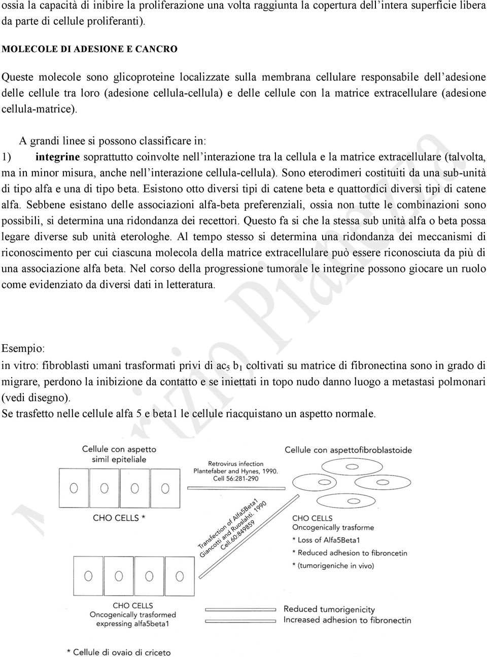 la matrice extracellulare (adesione cellula-matrice).