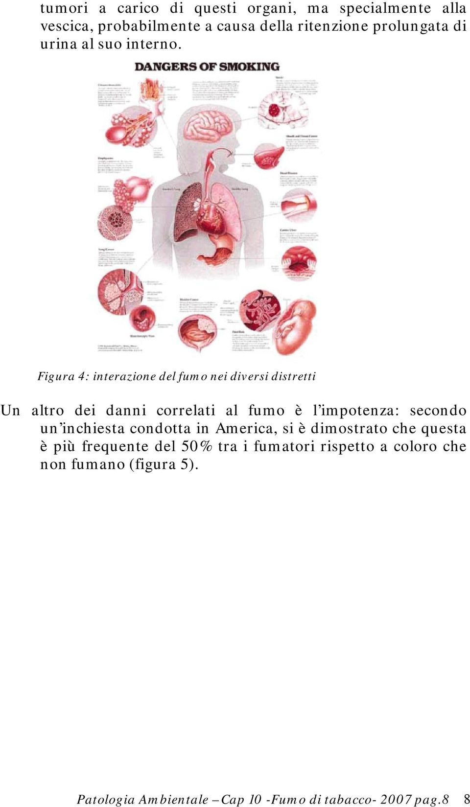 Figura 4: interazione del fumo nei diversi distretti Un altro dei danni correlati al fumo è l impotenza: secondo