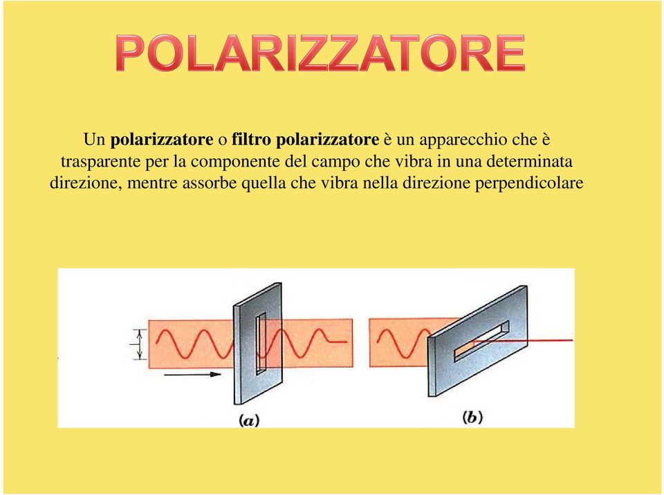 campo che vibra in una determinata direzione,