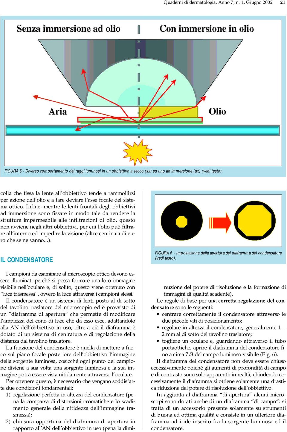 Infine, mentre le lenti frontali degli obbiettivi ad immersione sono fissate in modo tale da rendere la struttura impermeabile alle infiltrazioni di olio, questo non avviene negli altri obbiettivi,