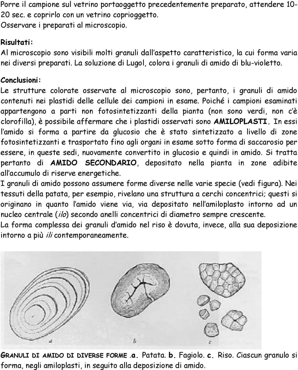 Conclusioni: Le strutture colorate osservate al microscopio sono, pertanto, i granuli di amido contenuti nei plastidi delle cellule dei campioni in esame.