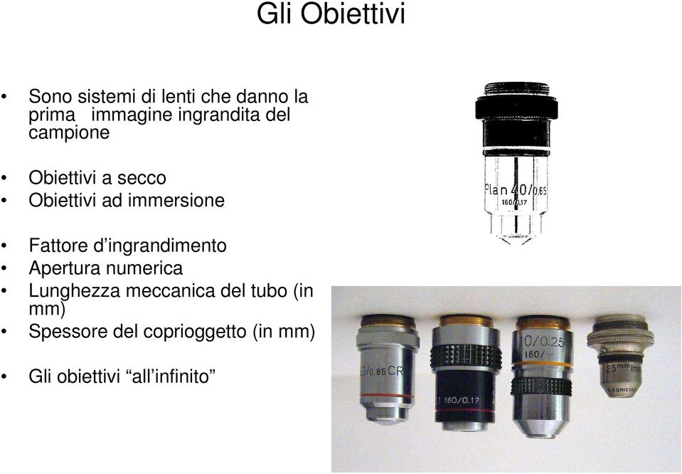 Fattore d ingrandimento Apertura numerica Lunghezza meccanica del