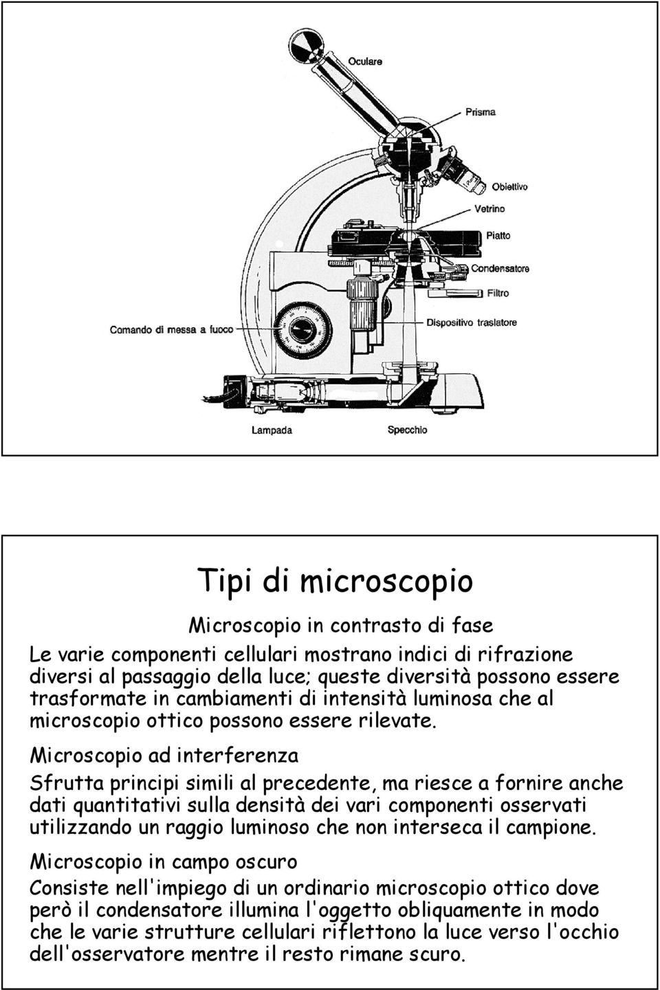 Microscopio ad interferenza Sfrutta principi simili al precedente, ma riesce a fornire anche dati quantitativi sulla densità dei vari componenti osservati utilizzando un raggio luminoso che