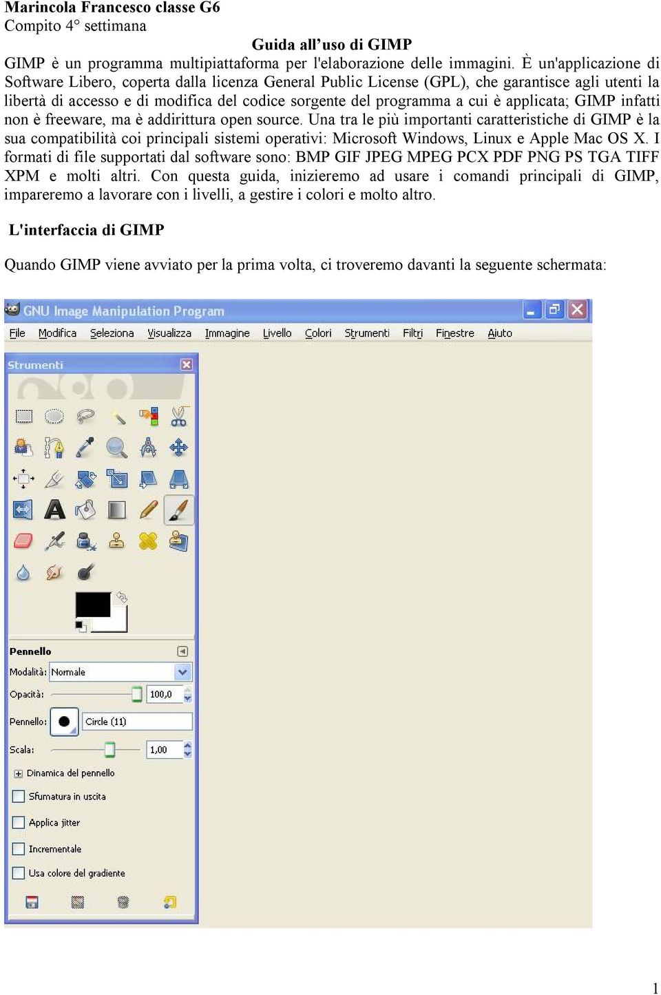 applicata; GIMP infatti non è freeware, ma è addirittura open source.
