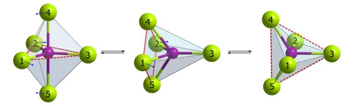 Geometrie di coordinazione Numero di