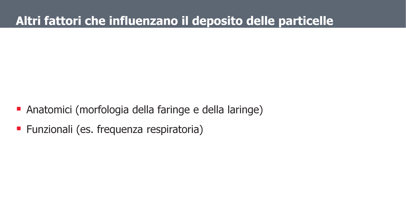 La deposizione polmonare è, però, influenzata anche da fattori legati al paziente: anatomici (morfologia della faringe e della laringe), ma soprattutto funzionali ovvero le condizioni di flusso con