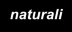 Tecniche di depurazione naturale Le tecniche naturali o morbide (soft): depurazione su ampi spazi, autodepurazione, materiali di costruzione terra e ghiaia, piante quale elemento di ausilio per la