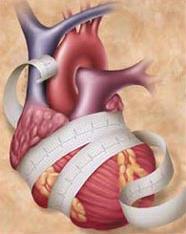Anatomia Patologica apparato cardiovascolare Dr.