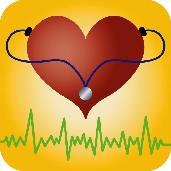 Tessuto muscolare cardiaco Il muscolo cardiaco, detto anche miocardio, è il CUORE.