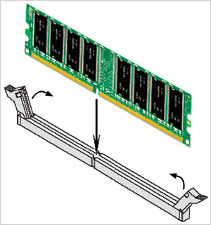 dinamica, distribuita su più chip, si innesta in appositi slot (prese) sulla scheda madre: per maggiore flessibilità, diversi tipi di connessioni (moduli): IMM ouble Inline Memory Module SO-IMM Small