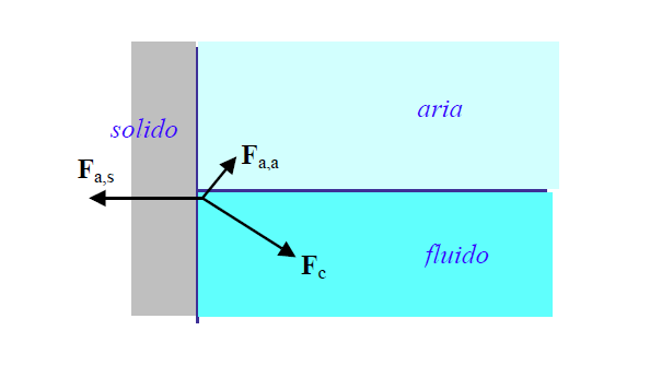 Le molecole di un liquido in vicinanza della parete sentono la forza di coesione del fluido F c diretta verso l interno del fluido, la forza di adesione liquido-gas