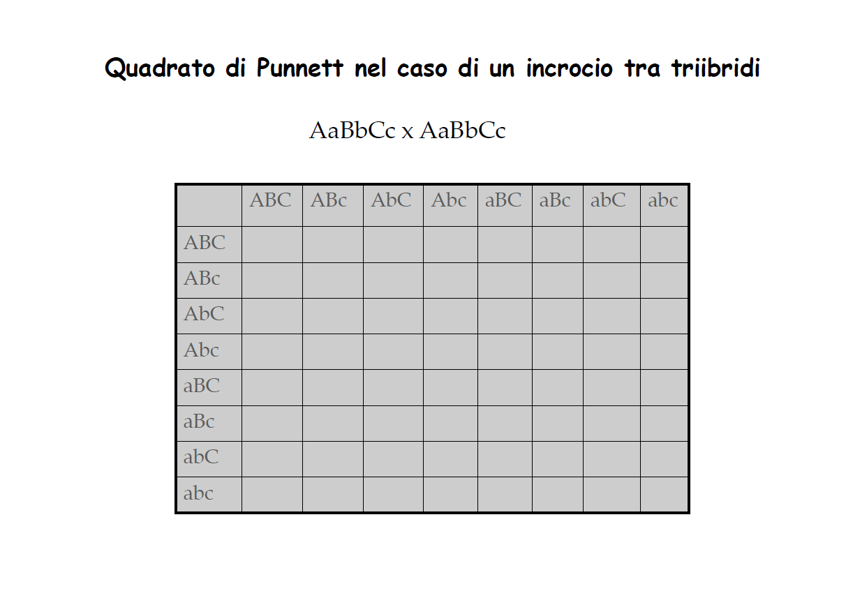 Quadrato di Punnet per un incrocio di Triibridi