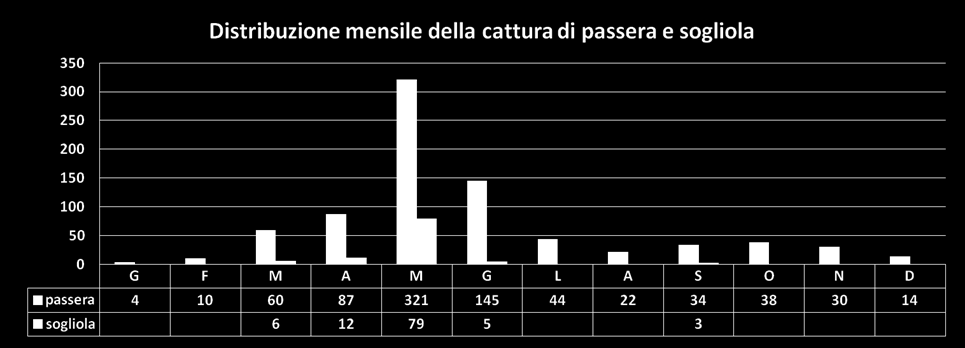 40.0 Lunghezza media mensile per singola specie di mugilide 30.0 20.0 10.0 0.0 G F M A M G L A S O N D calamita 7.7 18.1 19.3 20.4 11.1 23.9 11.8 12.7 8.3 15.0 17.8 dorato 18.0 20.1 17.7 15.3 14.7 18.3 18.