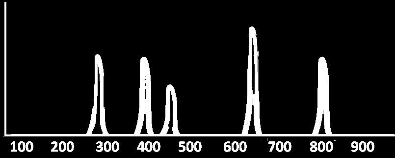 I frammenti possono essere separati in un sequenziatore che ne registra la relativa intensità Il limite delle