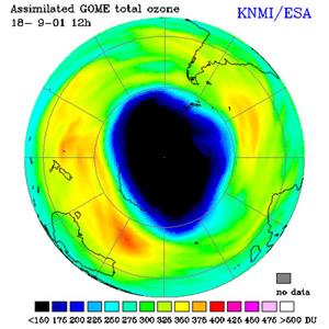 n La formazione della maggior parte dell ozono della stratosfera avviene a più di 30 km di altezza, in corrispondenza della zona equatoriale dove risulta più rilevante l irraggiamento solare n Le