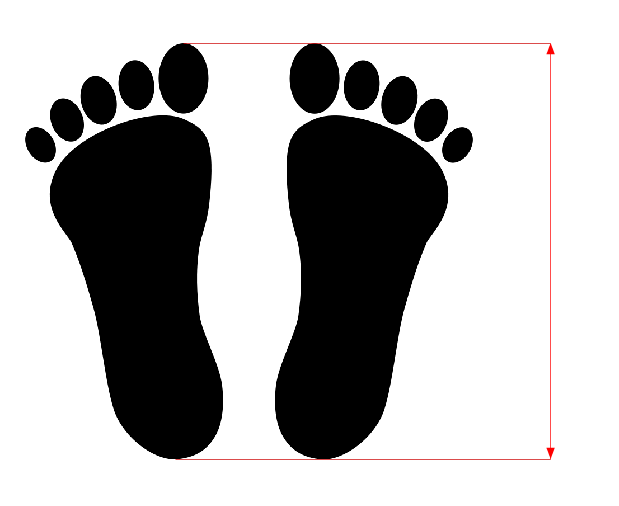 Piedi (F) Per rilevare correttamente la misura del piede, ci poniamo in piedi come per la misurazione dell altezza e del cavallo, schiena e talloni