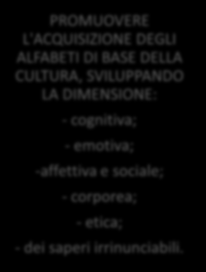 C.3.3 FINALITA DELLA SCUOLA DEL PRIMO CICLO Acquisizione delle conoscenze e abilità fondamentali per sviluppare competenze culturali di base nella prospettiva del pieno sviuppo della persona.