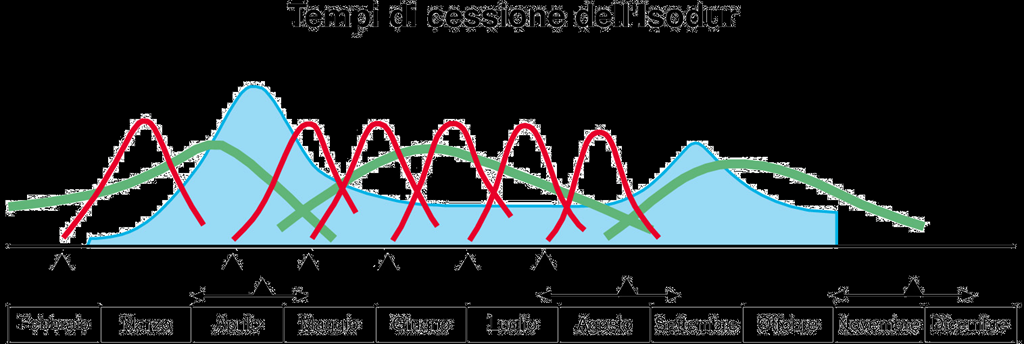 Scelta dei concimi: pronto effetto o lento rilascio?