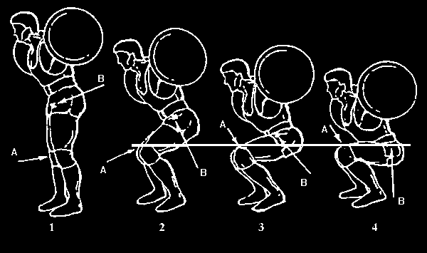 Eziologia Multifattoriale Malattie infiammatorie della pelvi Traumi