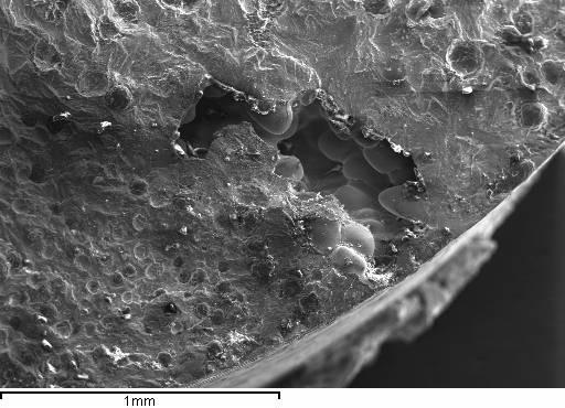 PROCEDURA SPERIMENTALE Analisi metallografica Misura della dimensione