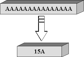 Run Length Encoding (RLE) RLE rimpiazza occorrenze consecutive di un simbolo con il simbolo seguito dal numero di volte che è ripetuto.