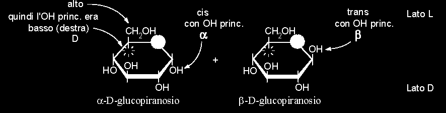 calorie del saccarosio ma con potere dolcificante maggiore anche se variabile in funzione della temperatura del solvente.