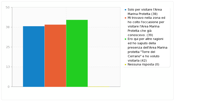 Campo riepilogo per A11 Qual è la motivazione