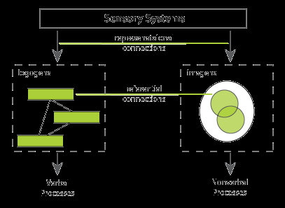 Teoria del dual coding (Paivio) Due sottosistemi cognitivi Uno specializzato per la rappresentazione e l elaborazione di oggetti ed eventi non verbali Uno specializzato