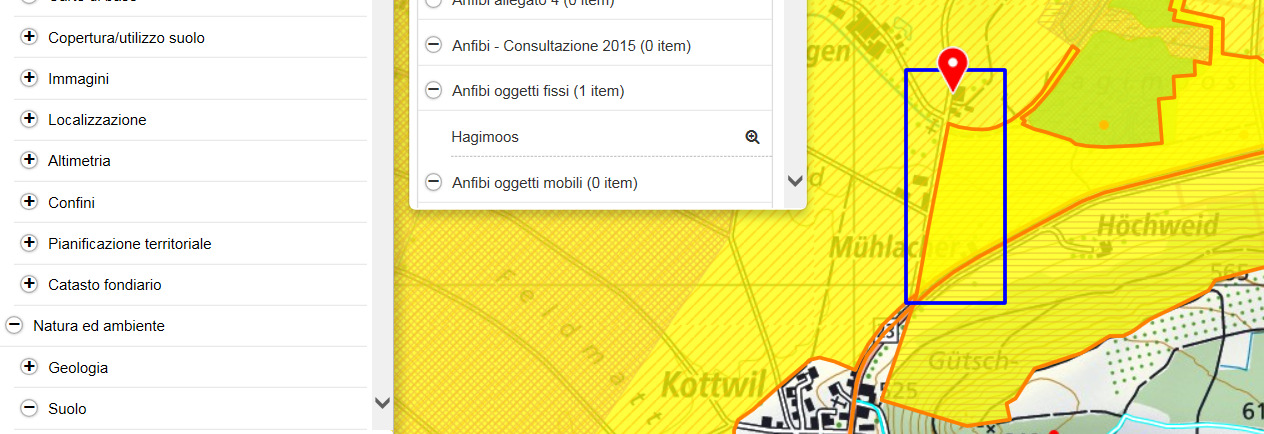 2.3 Link al geoportale della Confederazione con temi già selezionati, contrassegnati con * nella TD (esempio con immissione delle coordinate) 13 2.