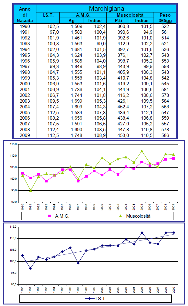 MARCHIGIANA TREND DEGLI INDICI GENETICI Approvati alla FA Ancora più evidente il