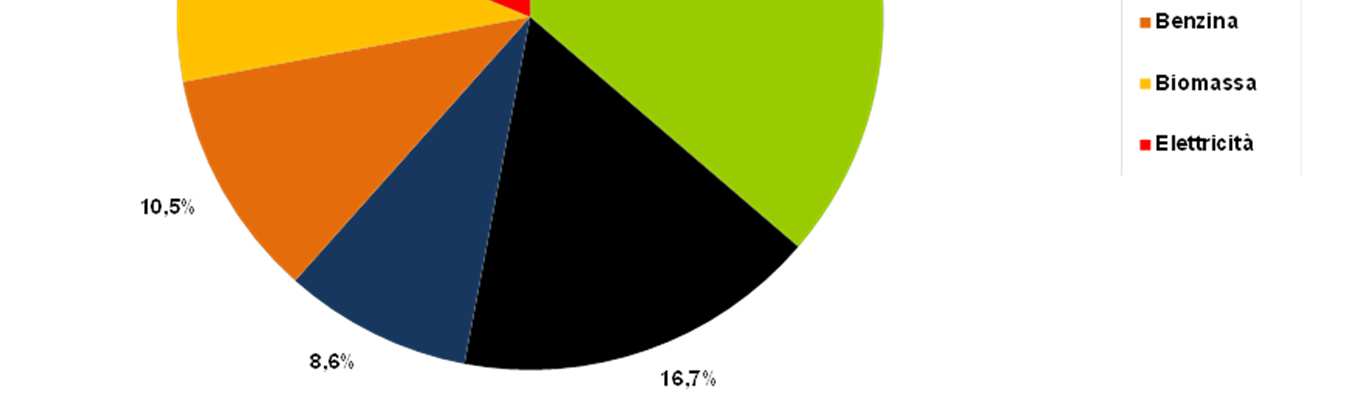 Il bilancio energetico - 2010 Il 36,3% dei consumi è